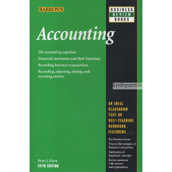 Peter J.Eisen - Accounting