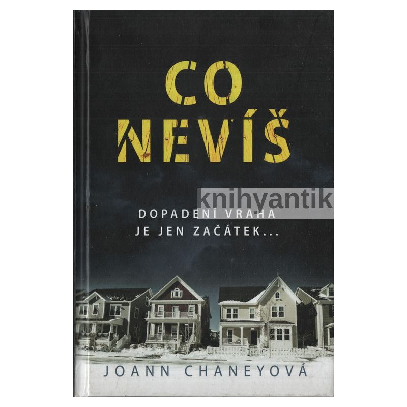 JoAnn Chaney - Co nevíš