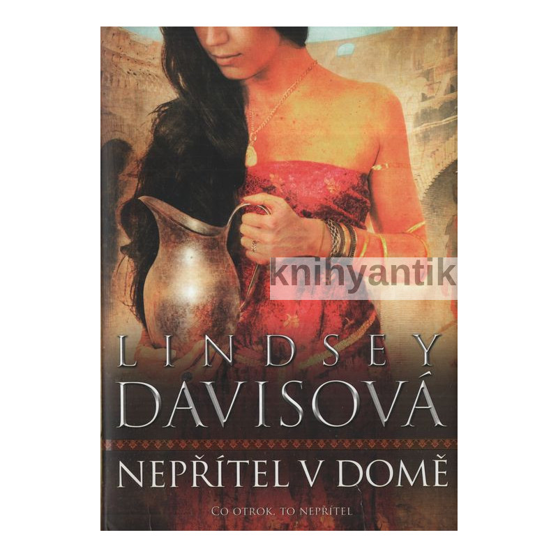 Lindsey Davisová - Nepřítel v domě